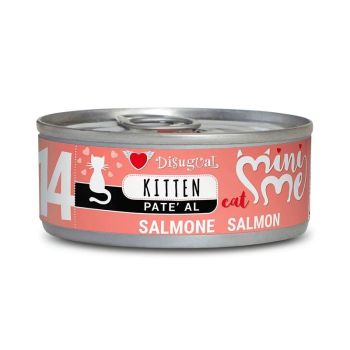Disugual Mini-Me, comida para gatito con salmón