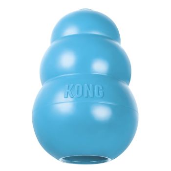 Kong puppy blue
