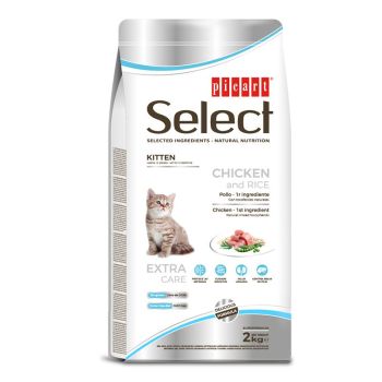 Select cat kitten chicken and rice